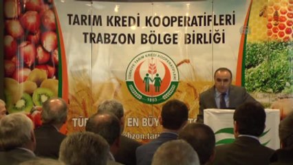 Fındıkta Kalite ve Verimi Artırmak İçin Gübre Üretildi