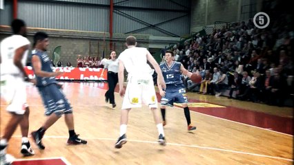 Reportage - Clark (Okapi Aalstar)