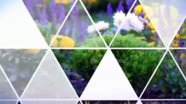 Emilio's Land Design (772) 260-9049