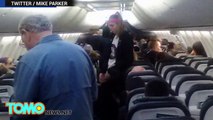 Scorpions stings plane passenger: arachnid attacks woman on Alaska Airlines flight at LAX