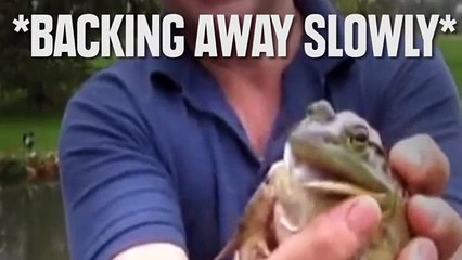 8 Surprisingly Creepy Animals