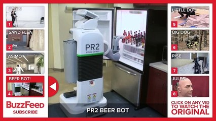 8 Visions of Our Robot Future