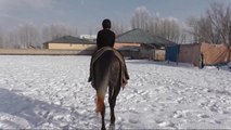 Şampiyon Atlara Kış Kampı