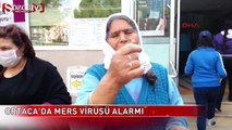 Muğla' da Mers virüsü alarmı