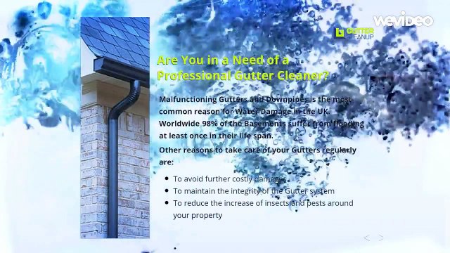 Gutter Cleanup - Professional Gutter Cleaners in London