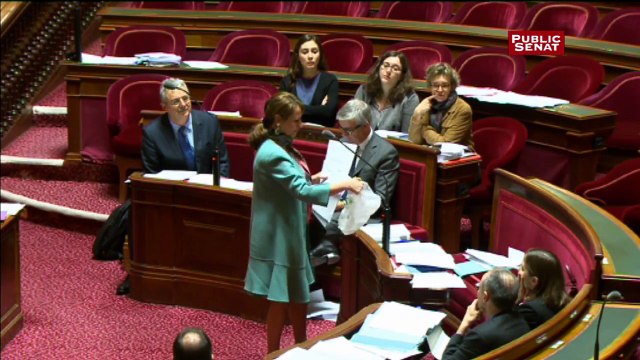 Au Sénat, Ségolène Royal défend les sacs plastiques biodegradables