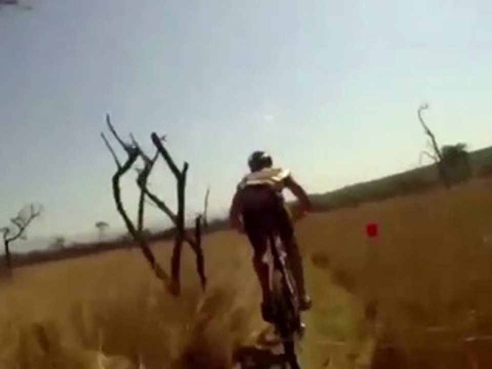 WNP Digital pour Mondial Assistance - assurance voyage, «Accident à l'étranger» - janvier 2015 - gazelle