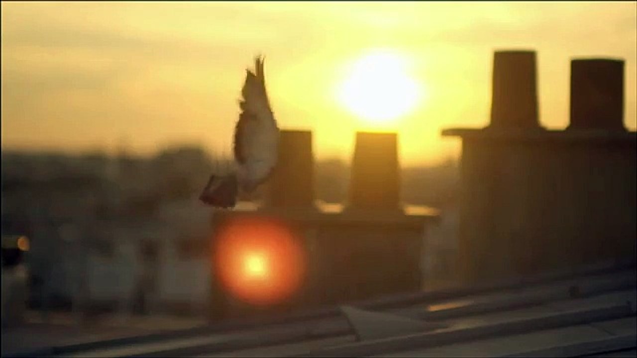 BETC pour Aigle - vêtements et accessoires, «It's wild out there» - février 2015