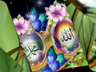 wo phoolon ka shaher madina urdu naat