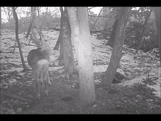 toilette brocard en velours au lever du jour