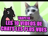 TOP 10 des vidéos de Chats les plus vues de tous les temps !