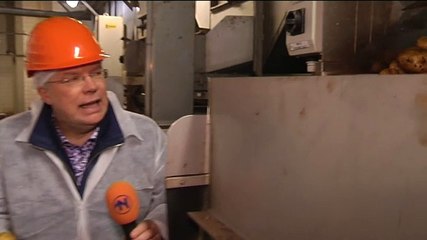 Dam Op met grote en kleine aardappels - RTV Noord