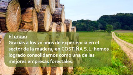 Costiña-productos forestales-aserraderos de madera