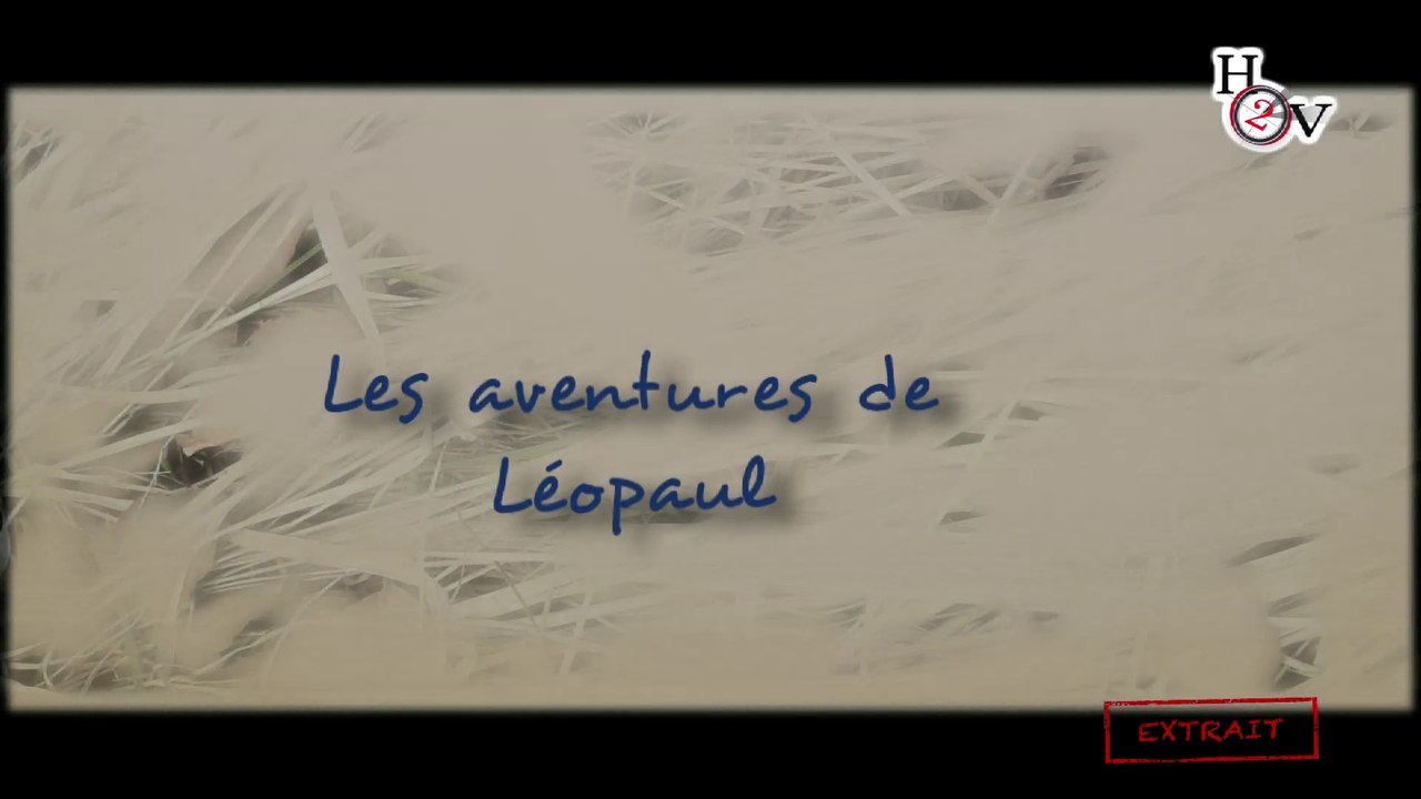 Les aventures de Léopaul