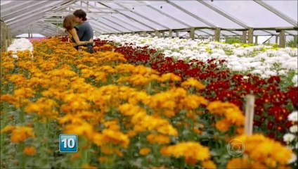 O melhor de Bento & Amora - 7ª Parte