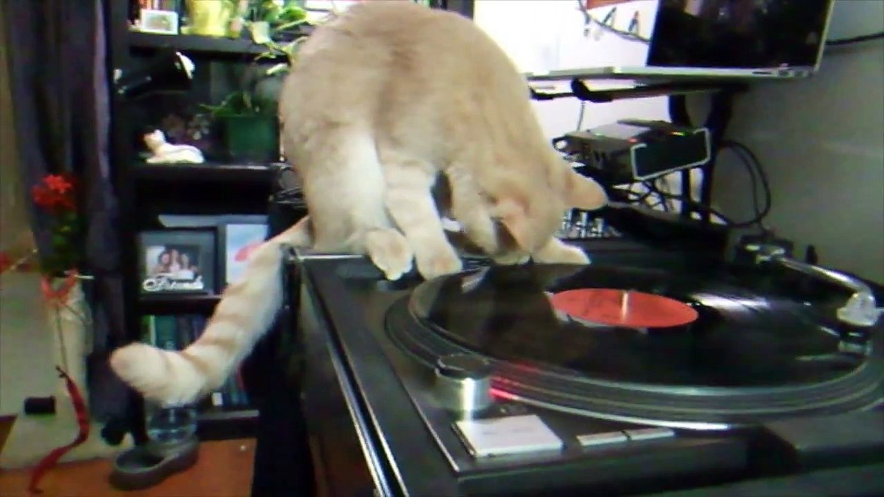 Beyoncé remixée par DJ Chat