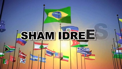 DIL DIL PAKISTAN - Remix Version