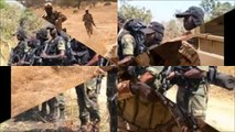 Chad Forces Killed 120 Boko Haram Militants in Cameroon