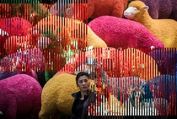 Lunar new year Celebrations