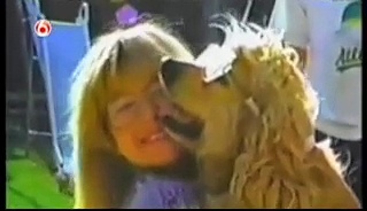 CATS   DOGS SPECIAL (2) Funniest Home Videos part 224