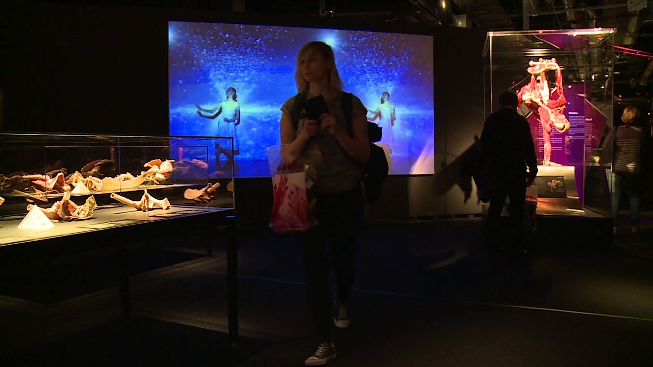 Opa als Plastinat: Körperspender für 'Dr. Tod'