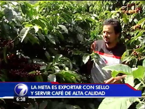 Los costarricenses ahora pueden consumir el mejor café del país