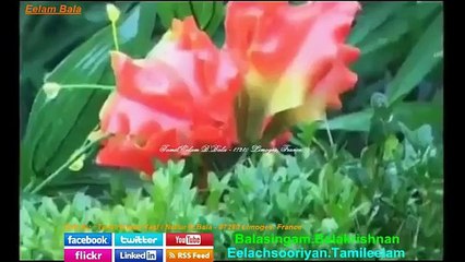 Emmai Maravathirum - Tamil Eelam Yaal Nallur B.Bala - 87280 Limoges, France