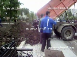 TEII REPLANTATI LA PROPRIU INGRIJITI DE SERVICII PUBLICE IASI www.iasi1.ro