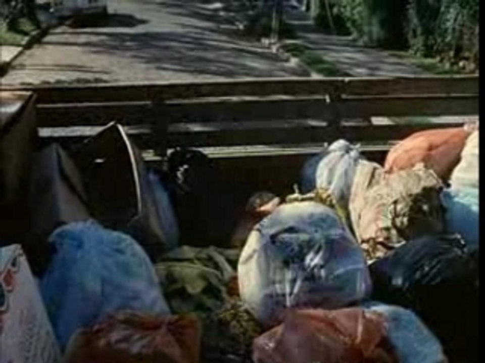 L'ile aux fleurs (Mondialisation)