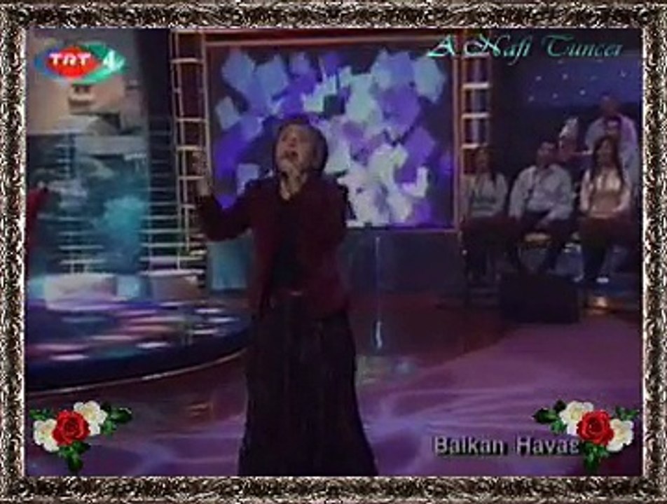 Ayşe TAŞ *Evlerinin Önü Handır*