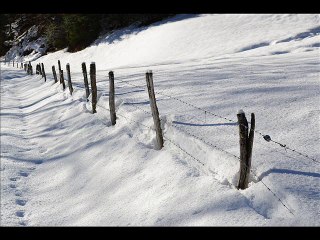 Secret of my heart- E Cortazar