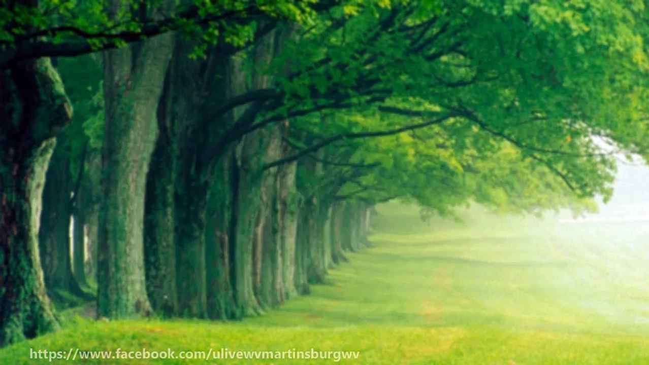 The New American Dream - Collaborative Communities