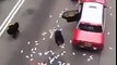 Extremely Hilarious Funny Clips: 15 million dollars have been dropped on highway in hongkong
