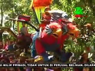 singa dangdut POKOE JOGED @ singa dangdut DUA PUTRA Indramayu