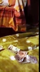 Pothwari funny clip 2015 - World Most Funny clips - Funny Videos 2015