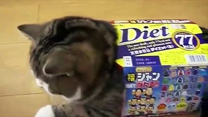 Most famous Viral video on youtube in 5 minutes (Low)