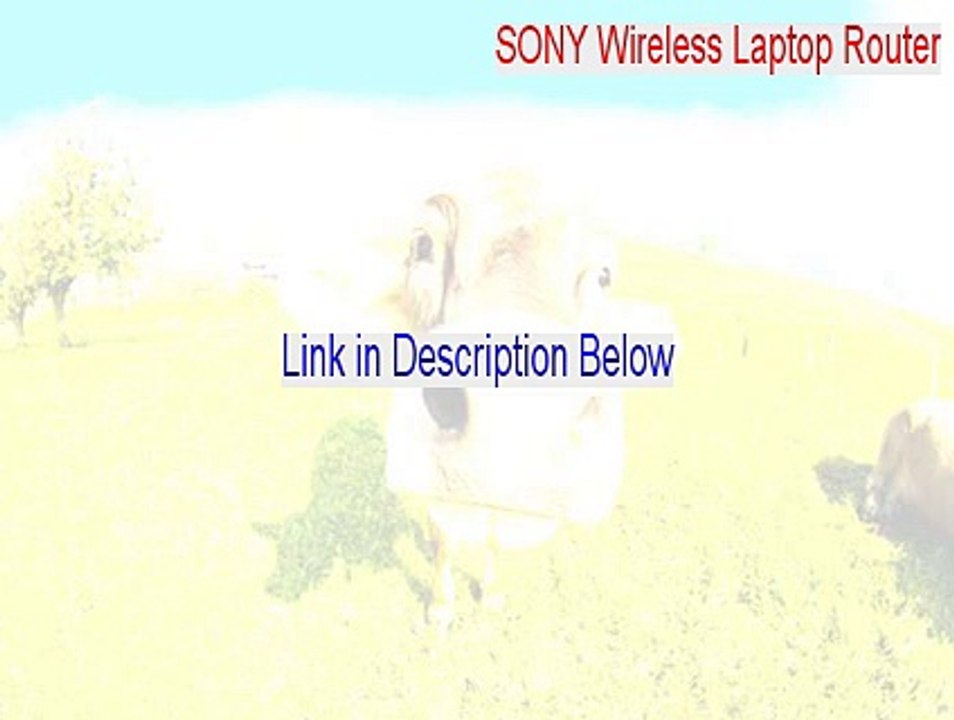 SONY Wireless Laptop Router Full Download [Legit Download 2015]