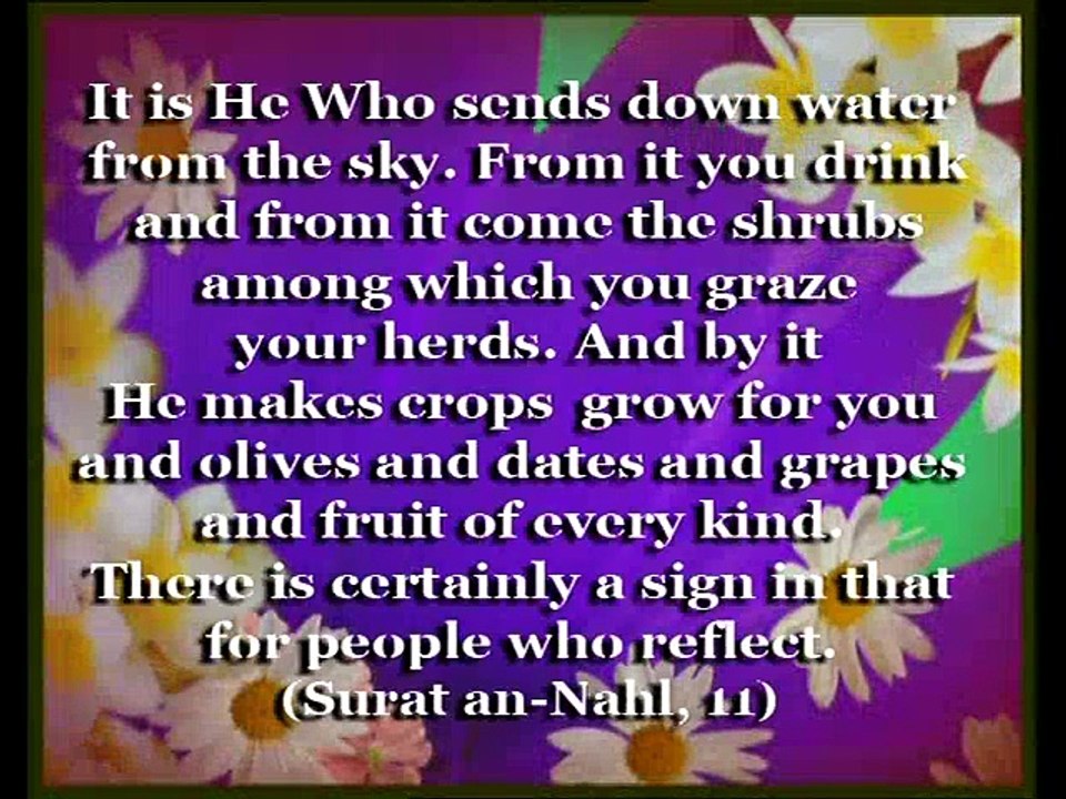 Seeing the Clear proofs of God's Existence