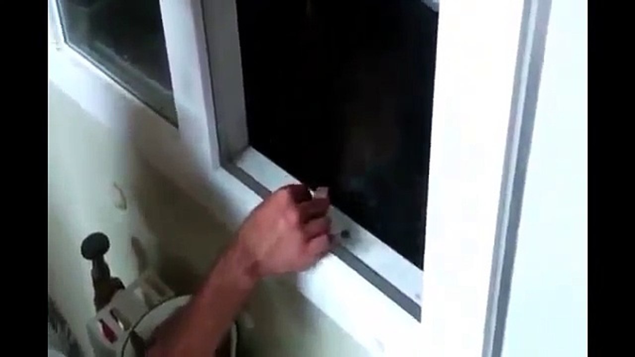 Russian Guy Feeds a Big Brown Bear through a Window