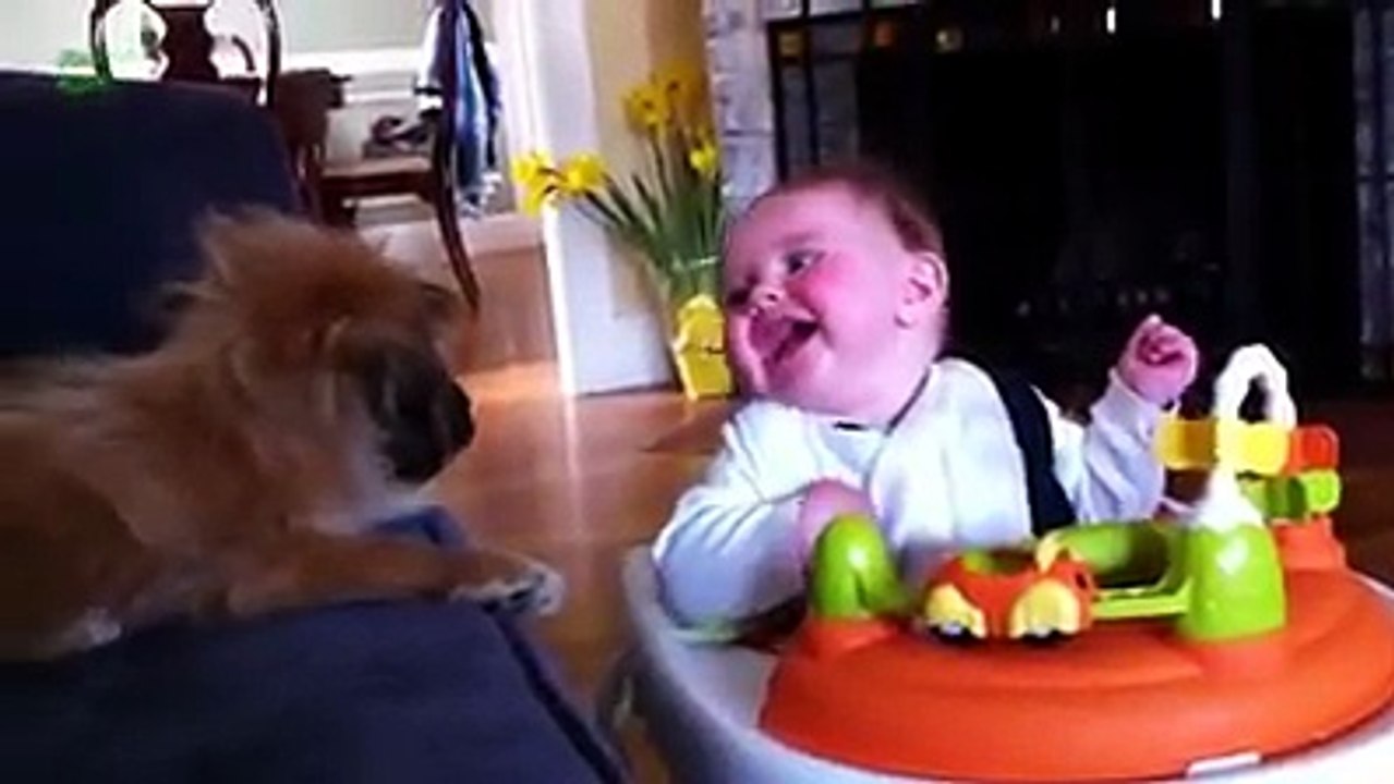 funy clip