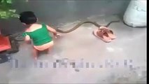 a little kid catching a snake amazing