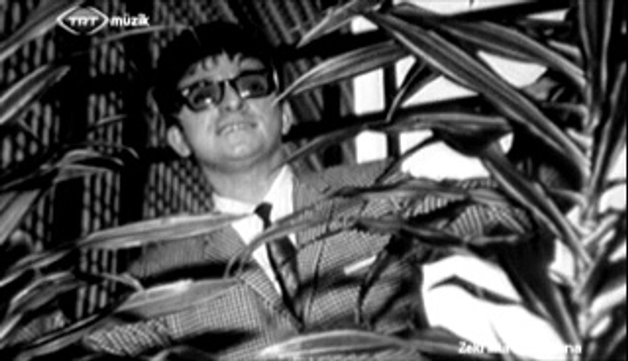 Bir Tatlı Tebessümün Bin Vuslata Bedeldir - Zeki Müren