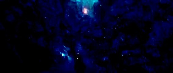 Фокус 2015 смотреть полный фильм