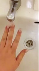 Wow   This Nail Polish Is So Awesome