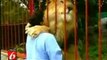 Lion hugs and kisses woman[1]