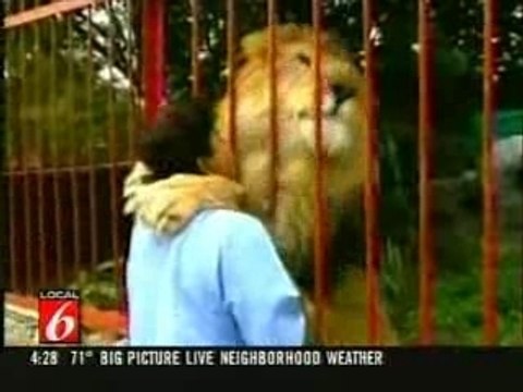 Lion hugs and kisses woman[1]