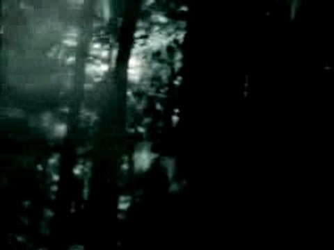 Sleater-Kinney  Entertain