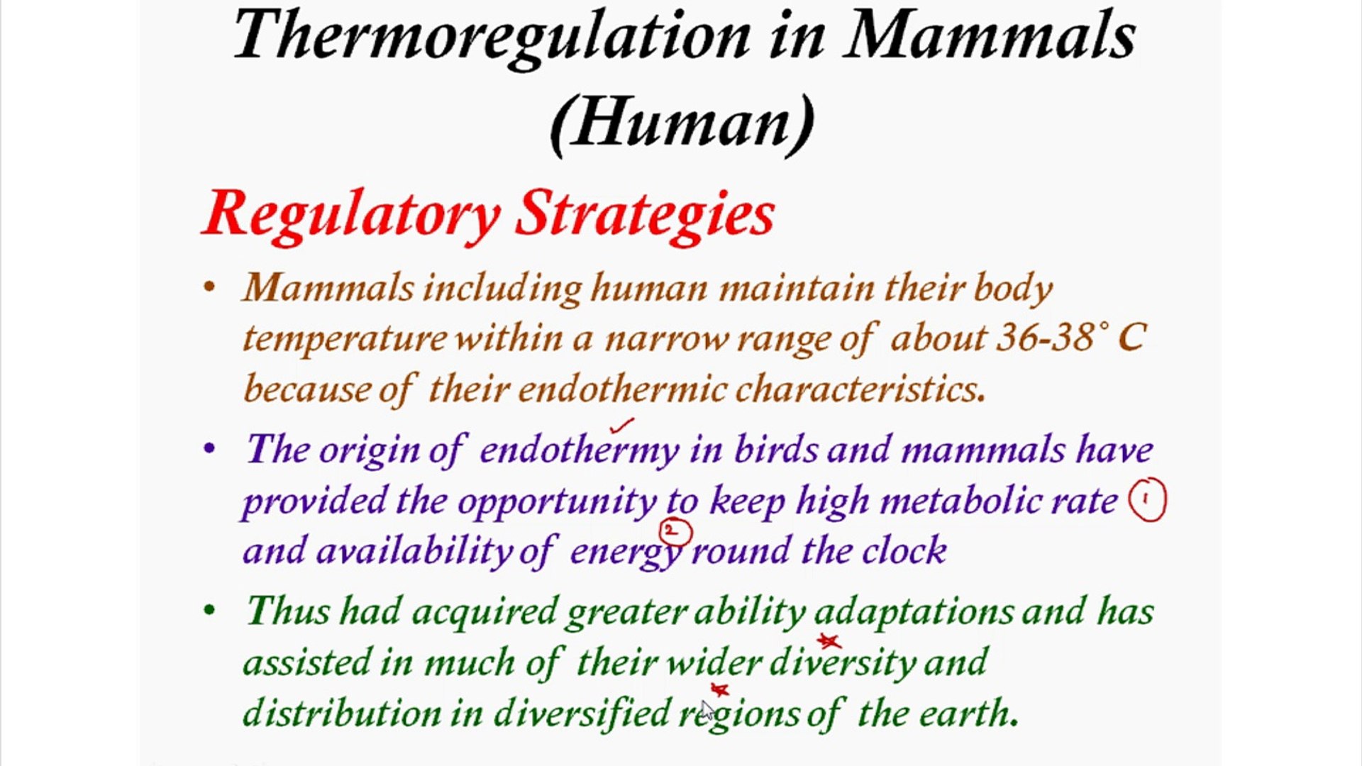 Thermoregulation In Mammals (human)