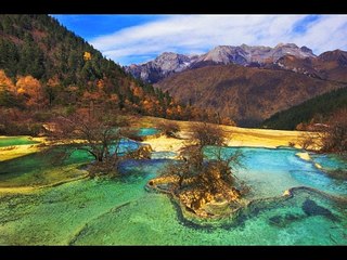 Happy Chinese New Year 2015 恭贺新禧！