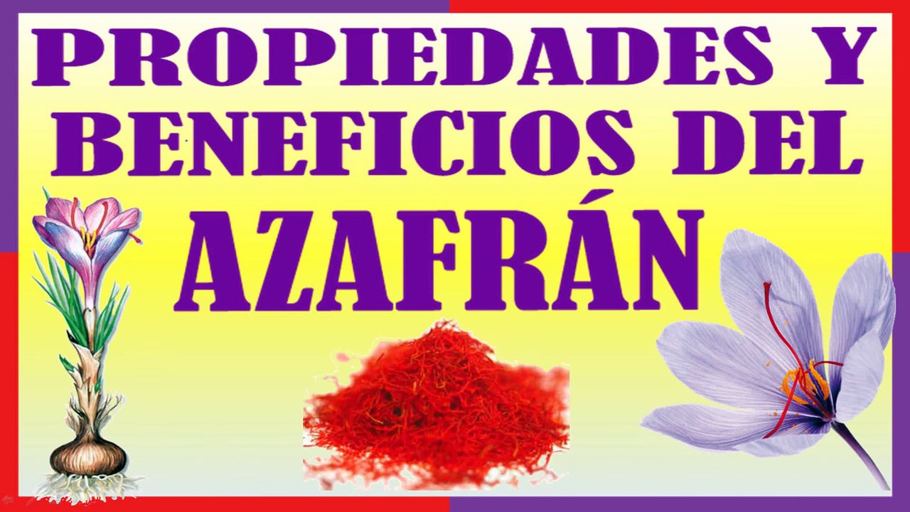 Propiedades y Beneficios del Azafrán